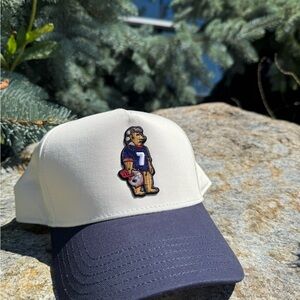 Norris Bear Morgan Wallen Patriots Foxbourough/Boston Gillette Stadium 2025